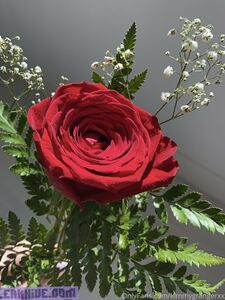 Kimmy Grange (New Set) Exclusive Onlyfans Leaked Nudes